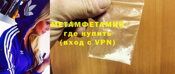 молекула духа Богданович