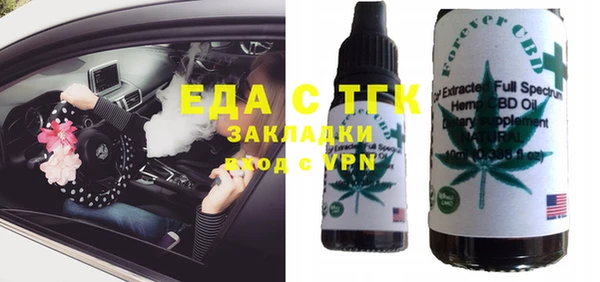 молекула духа Богданович