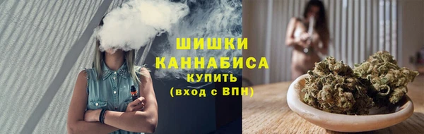 гашик Богородск