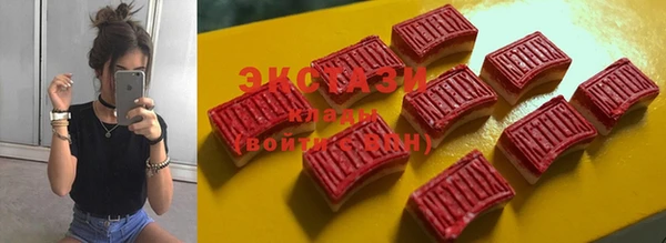 молекула духа Богданович