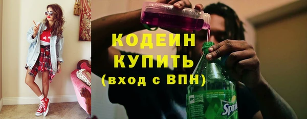 молекула духа Богданович