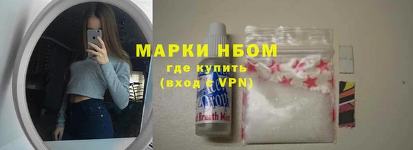 молекула духа Богданович
