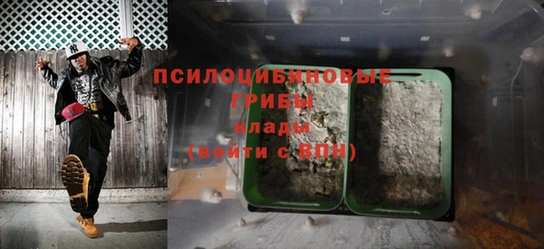 молекула духа Богданович