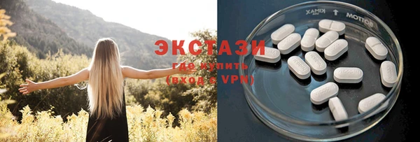 молекула духа Богданович