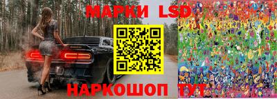 СК Донецк