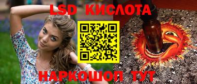 СК Донецк