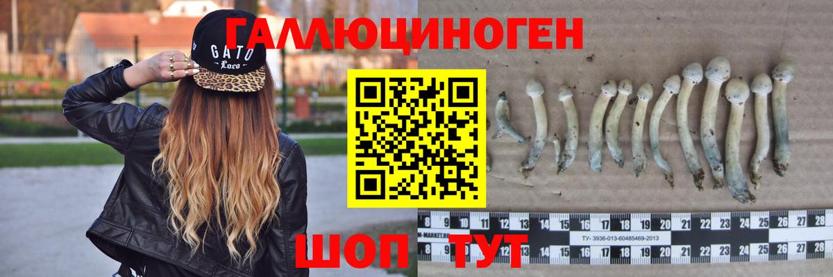 Псилоцибиновые грибы Cubensis  Псилоцибиновые грибы GOLDEN TEACHER  Бутурлиновка 